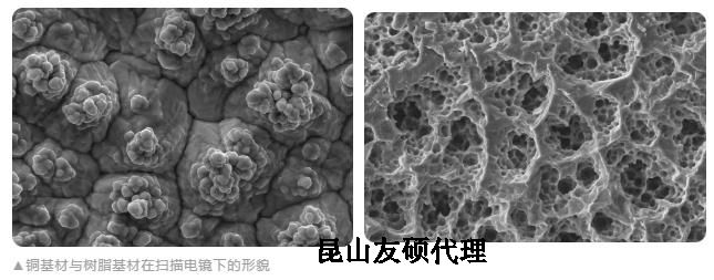 阿坝蔡司阿坝扫描电镜